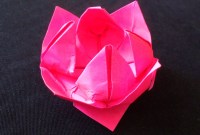 cara membuat bunga teratai dari kertas origami cara membuat bunga teratai dari kertas origami