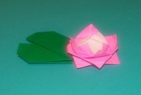 origami water lily easy origami water lily easy