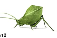 origami katydid tutorial origami katydid tutorial