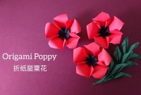 origami poppy flowers origami poppy flowers