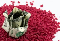 money rose origami tutorial money rose origami tutorial