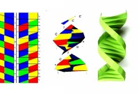 what is dna origami what is dna origami