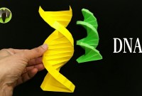 what is origami dna what is origami dna