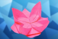 how to make a water lily origami how to make a water lily origami