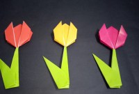 cara membuat origami bunga tulip dari kertas origami cara membuat origami bunga tulip dari kertas origami