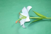 origami lily with stem origami lily with stem