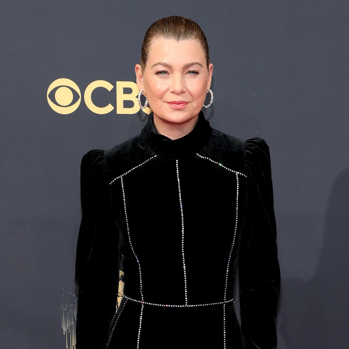 Ellen Pompeo Detained by TSA, Bomb Squad for Sunflower Seeds Ellen Pompeo Detained by TSA, Bomb Squad for Sunflower Seeds