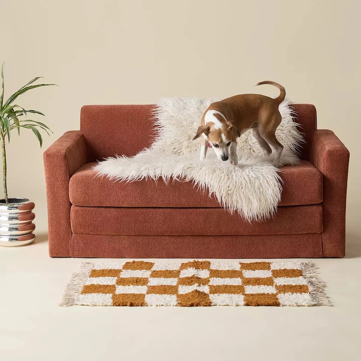 These Finest Couch Beds Underneath 0 Are Each Cozy & Cute: Store Them Now These Finest Couch Beds Underneath 0 Are Each Cozy & Cute: Store Them Now