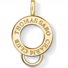 Damen-Carrier X0247-413-39 Damen-Carrier X0247-413-39