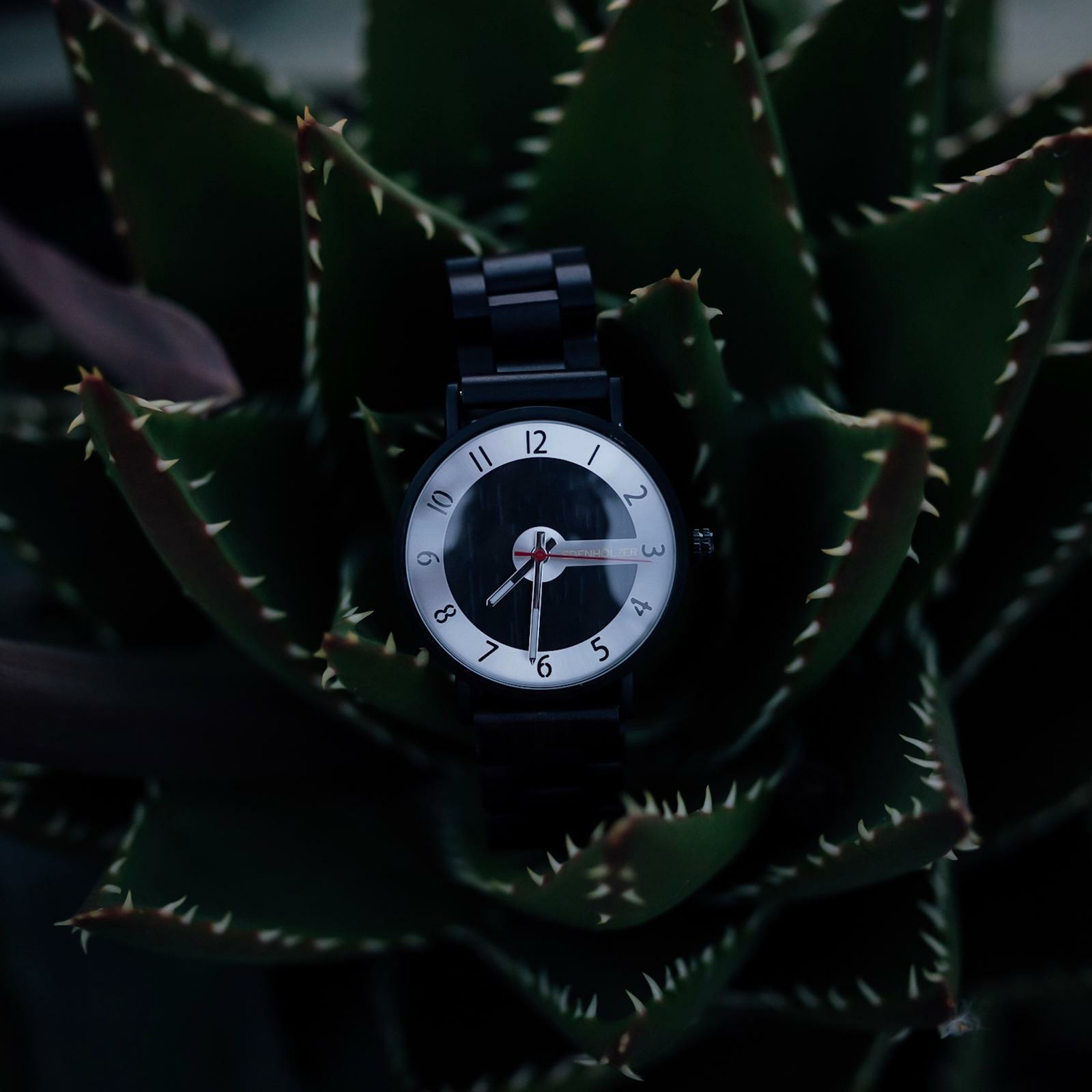 Edenhölzer Herren Damen Armbanduhr Holzarmband Hardlex Mustigue – Bild 2