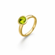 Damenring Elaine Firenze 14ct. Gelbgold 55586211R/3 Damenring Elaine Firenze 14ct. Gelbgold 55586211R/3