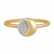 Ring 925/- Sterling Silber bicolor Mond Luna 41184575651934 Ring 925/- Sterling Silber bicolor Mond Luna 41184575651934