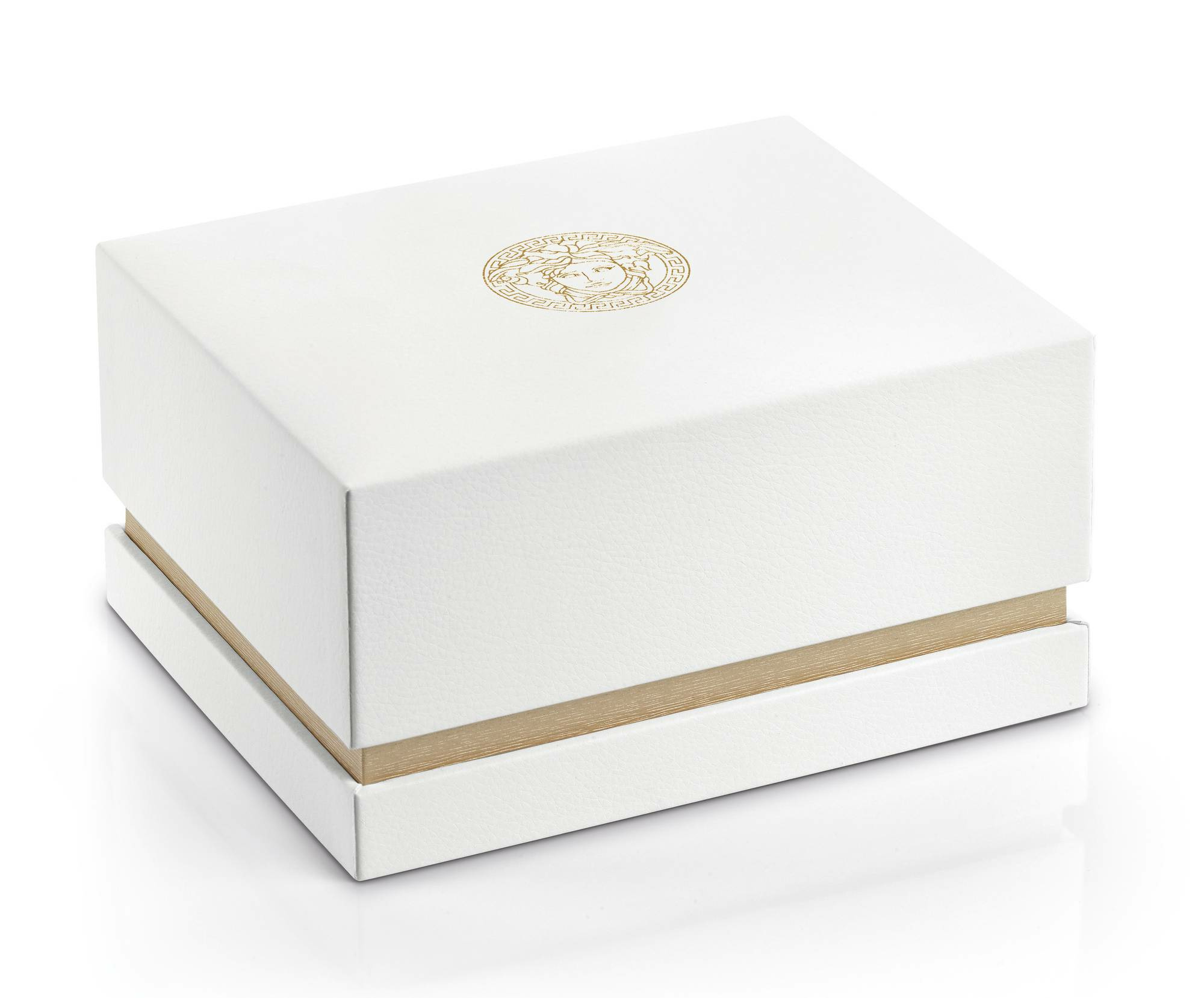 Versace Schweizer Herrenuhr Hellenyium 42mm VE3A006 20 Versace Schweizer Herrenuhr Hellenyium 42mm VE3A006 20