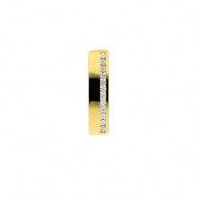 Damen 333 Gold Anhänger mit Zirkonia Damen 333 Gold Anhänger mit Zirkonia