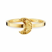 Ring 925/- Sterling Silber vergoldet 41178859929694 Ring 925/- Sterling Silber vergoldet 41178859929694