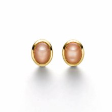 Ohrringe Elaine Firenze 14ct. Gelbgold 55646911E/3 Ohrringe Elaine Firenze 14ct. Gelbgold 55646911E/3