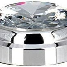 Edler Briefbeschwerer- versilbert und anlaufgeschützt Edler Briefbeschwerer- versilbert und anlaufgeschützt