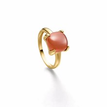 Damenring Elaine Firenze 14ct. Gelbgold 1033301R-4/3 Damenring Elaine Firenze 14ct. Gelbgold 1033301R-4/3
