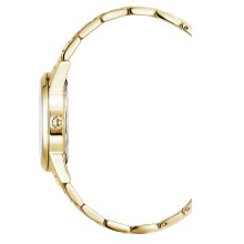 Swiss Alpine Military Damenuhr Argos gold schwarz 34mm Artikelnummer 7767.1117 Swiss Alpine Military Damenuhr Argos gold schwarz 34mm Artikelnummer 7767.1117