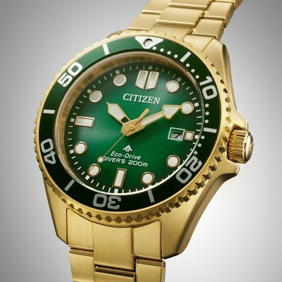 Citizen Marine BN0262-59W Promaster Sea Uhr – Bild 3