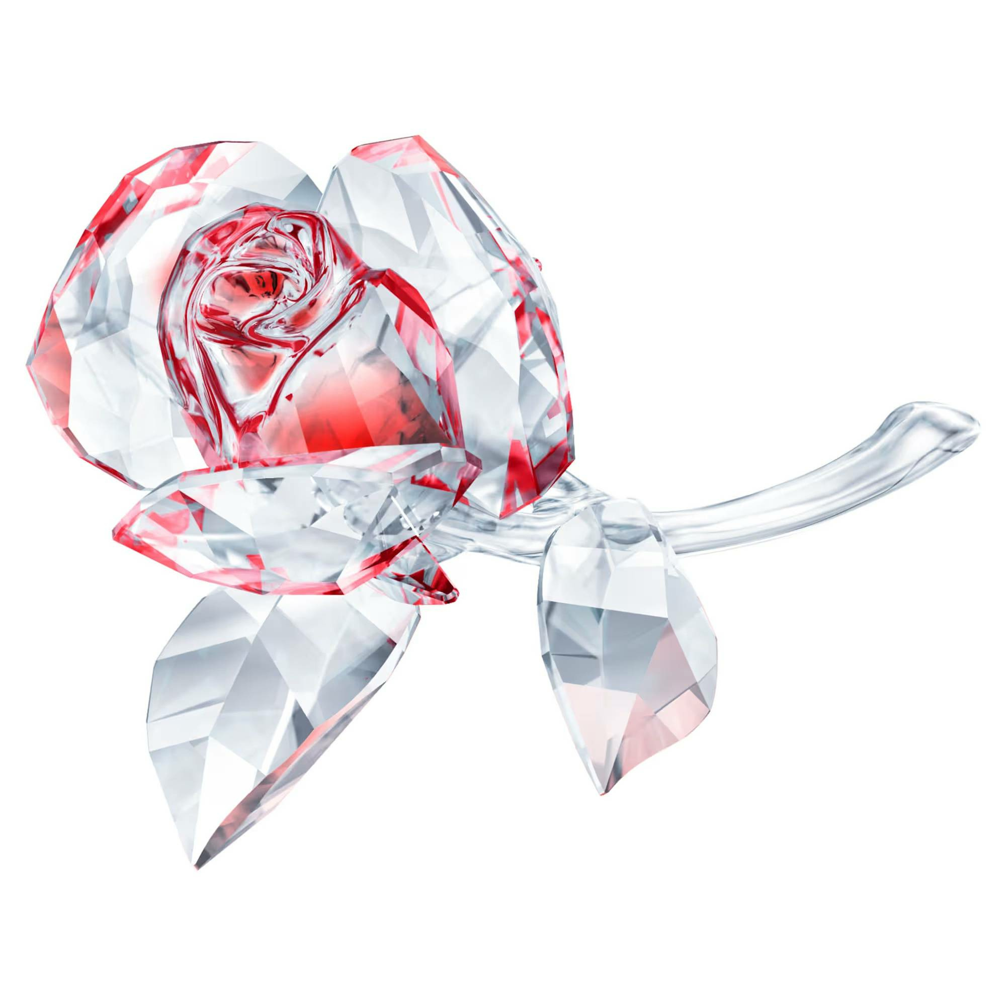 Swarovski In the Secret Garden Blühende Rose Rot 5428561 Swarovski In the Secret Garden Blühende Rose Rot 5428561