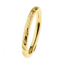 Ernstes Design Damen Ring Evia Größe 55 Gold R534-55 Ernstes Design Damen Ring Evia Größe 55 Gold R534-55