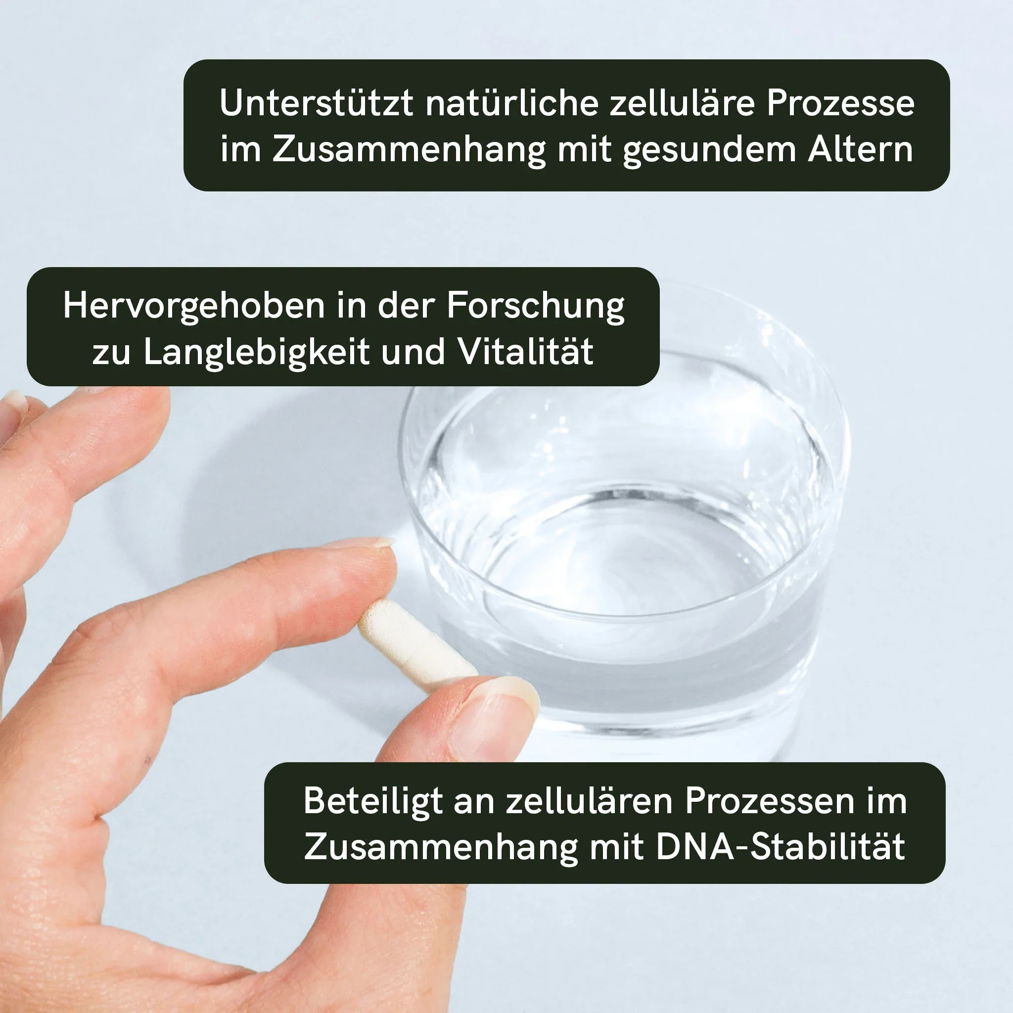 NAD+ Kapseln – Bild 2