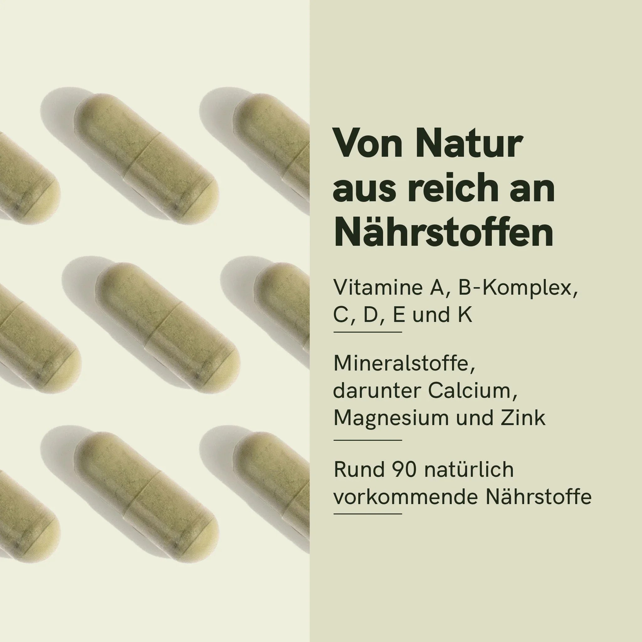 Moringa-Pulver-Kapseln – Bild 3