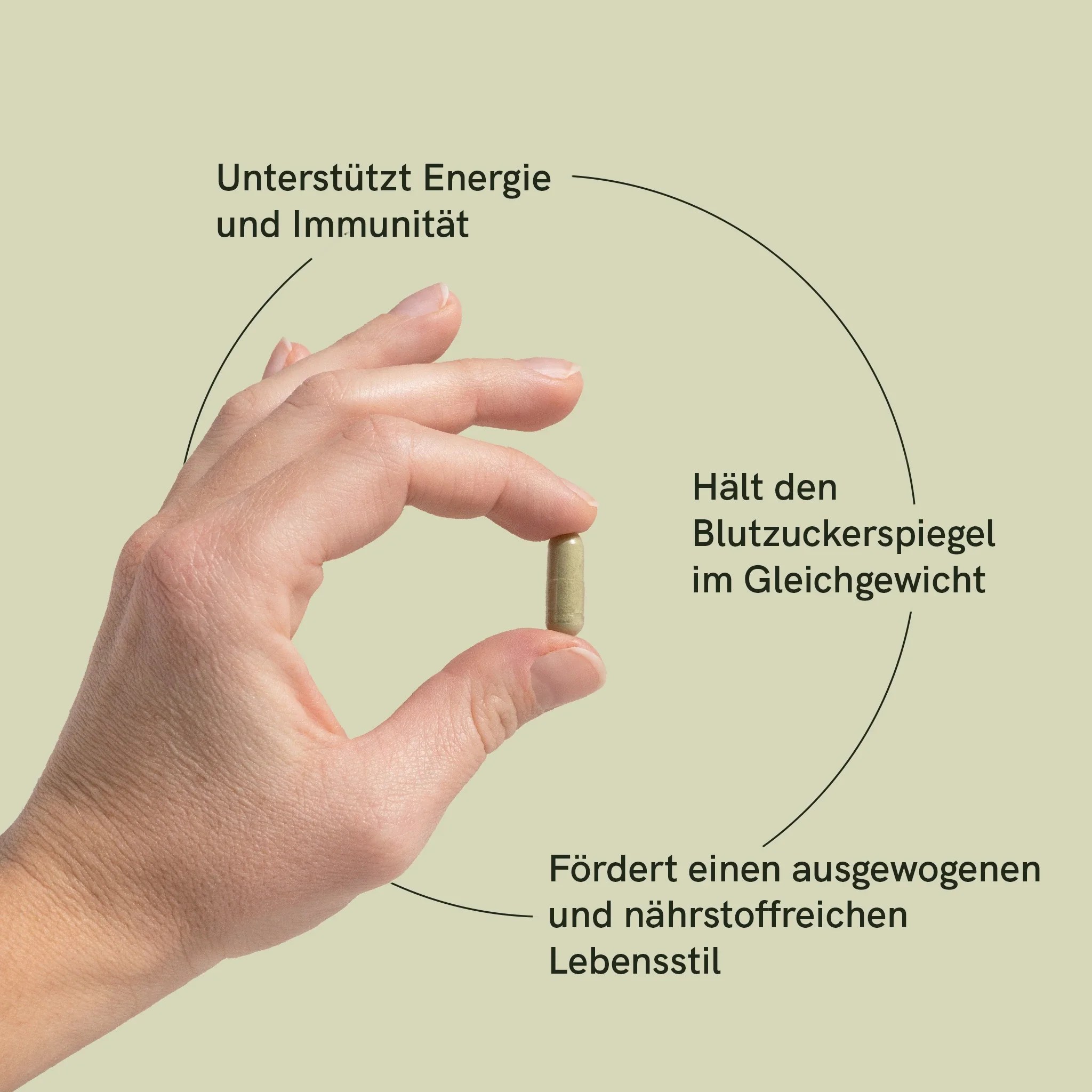 Moringa-Pulver-Kapseln – Bild 3