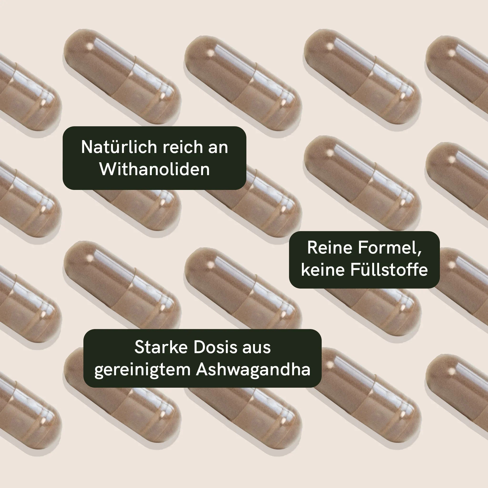 Ashwagandha Kapseln – Bild 3