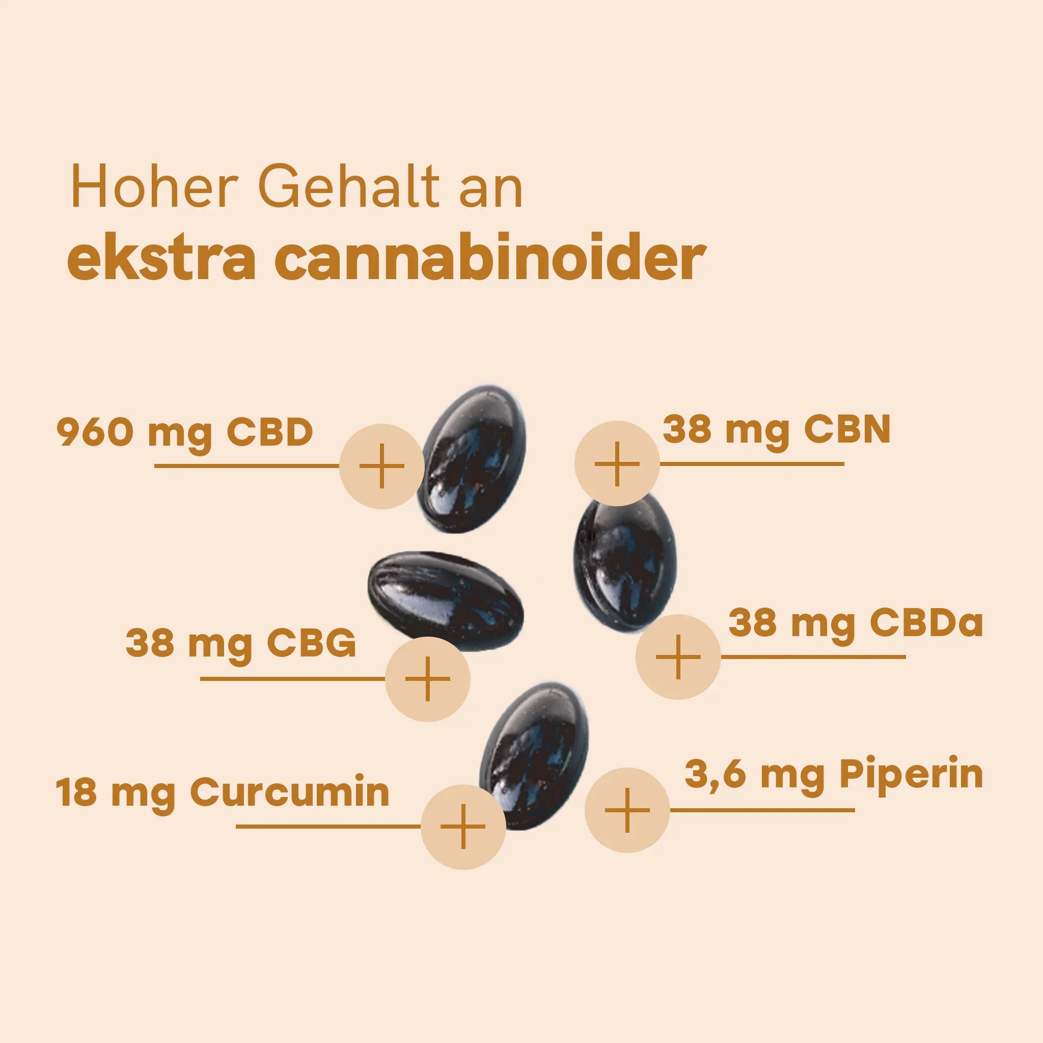 3FÜR2: CBD Kapseln (960mg) mit Curcumin – Bild 3