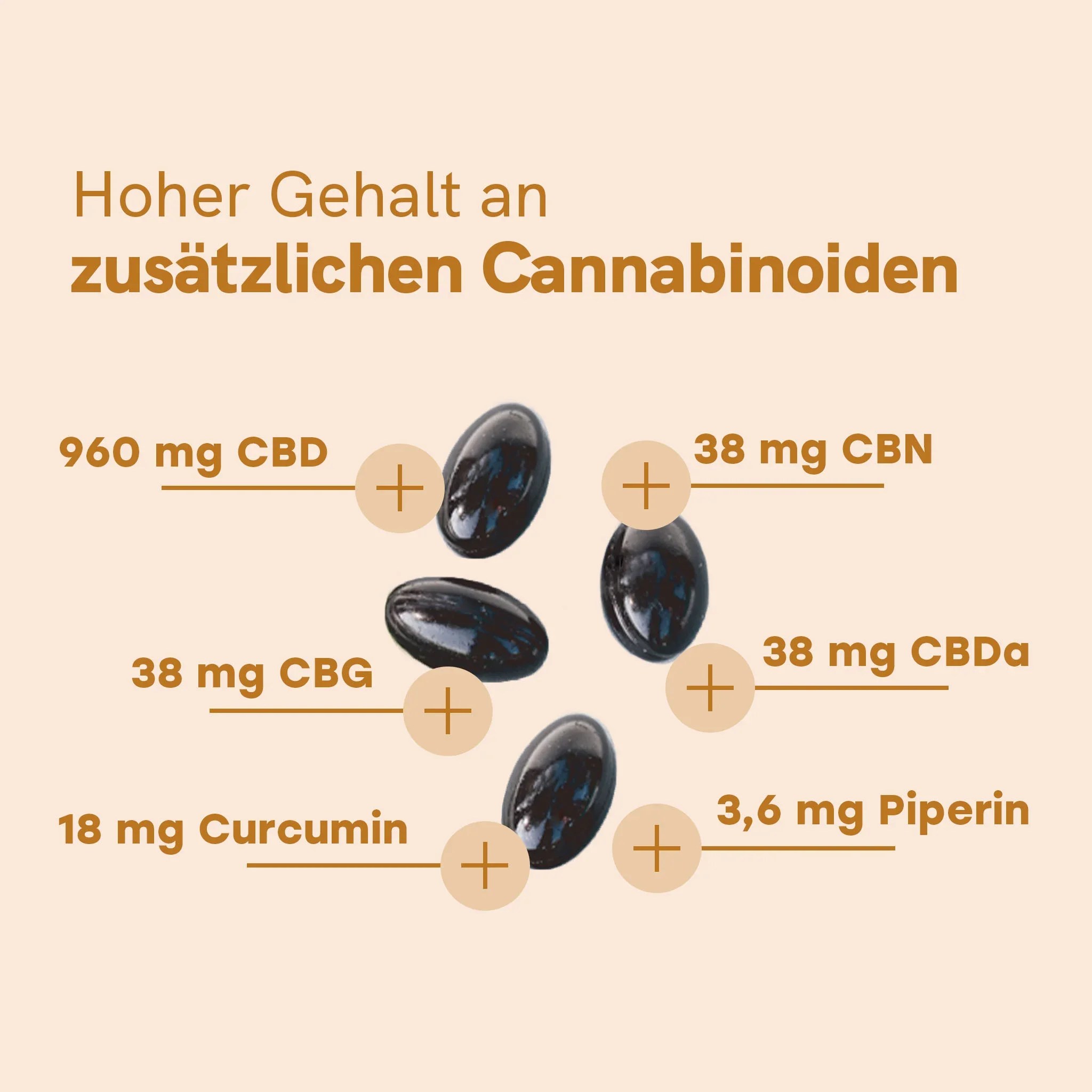 CBD Kapseln (960mg) mit Curcumin – Bild 3