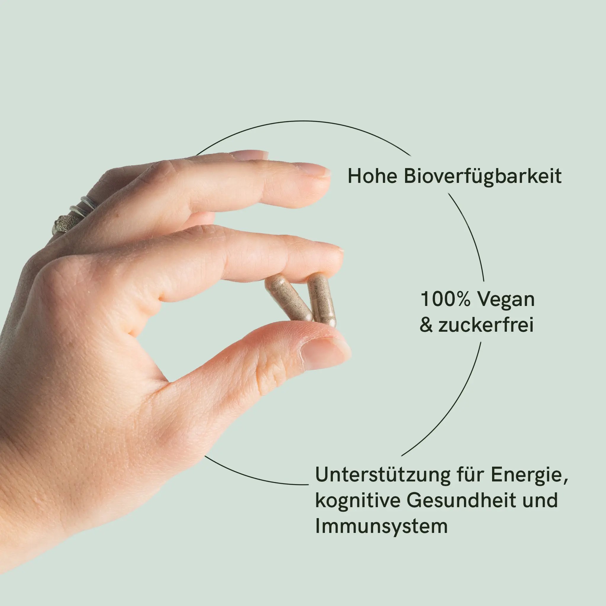 Eisen & Vitamin C Kapseln – Bild 2