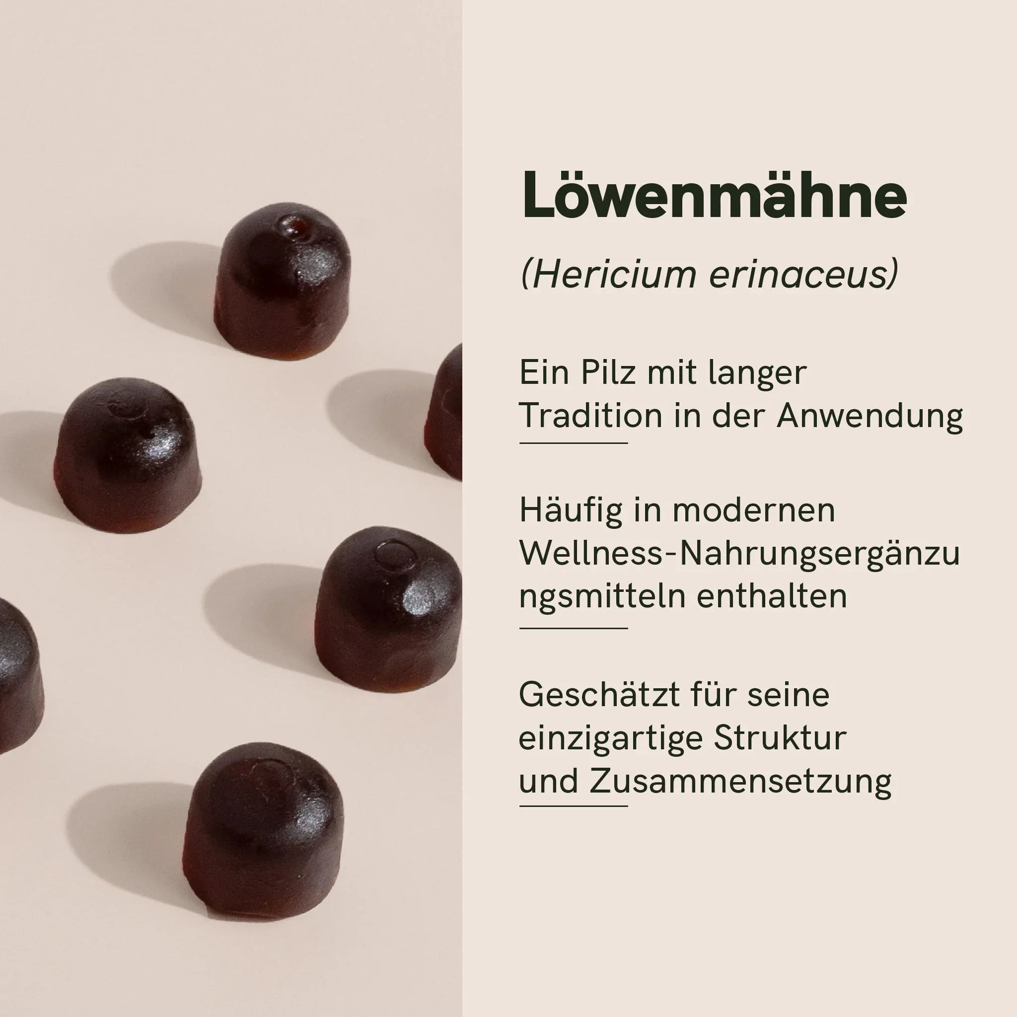 Löwenmähne Vitalpilz-Gummies – Bild 3