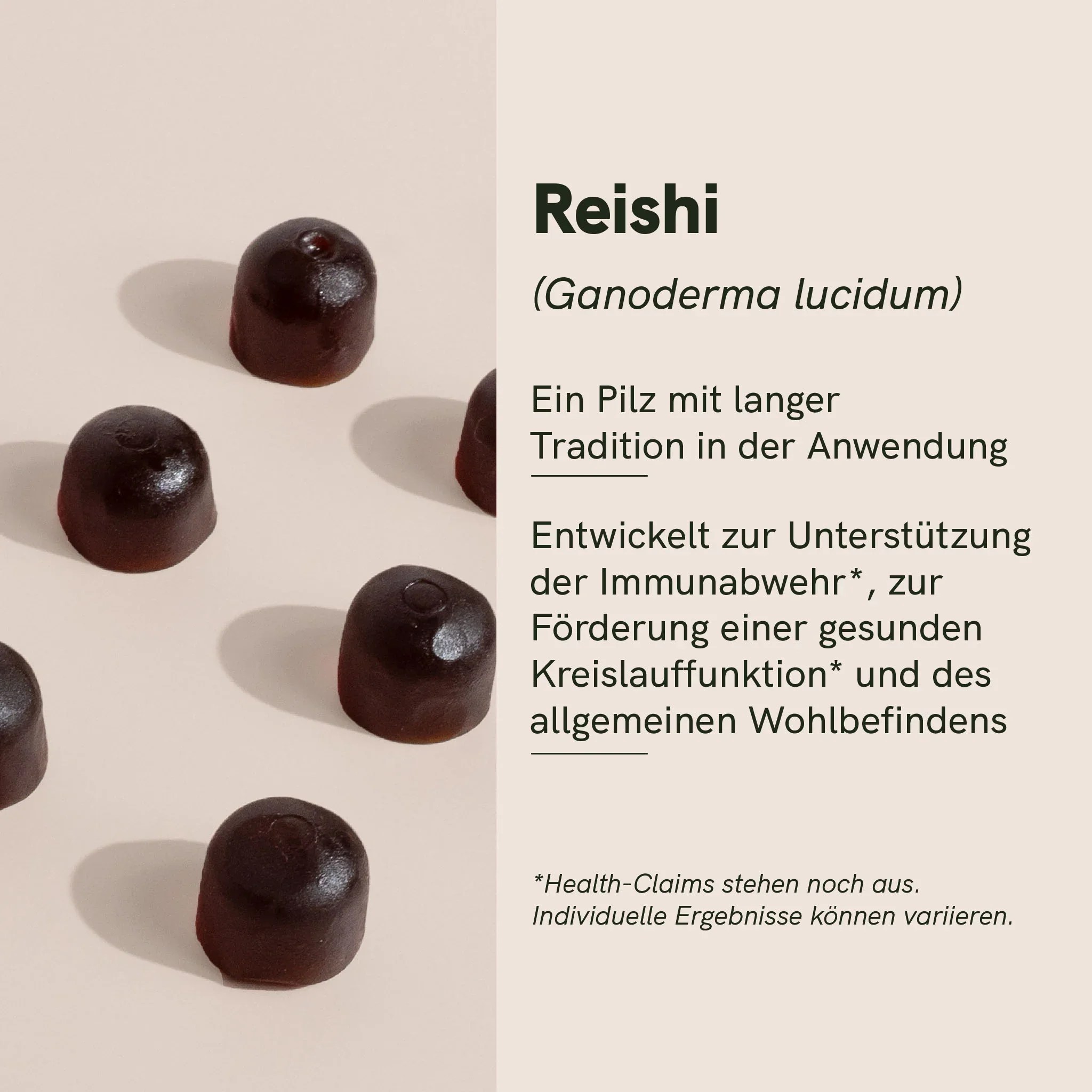 Reishi Vitalpilz-Gummies – Bild 3