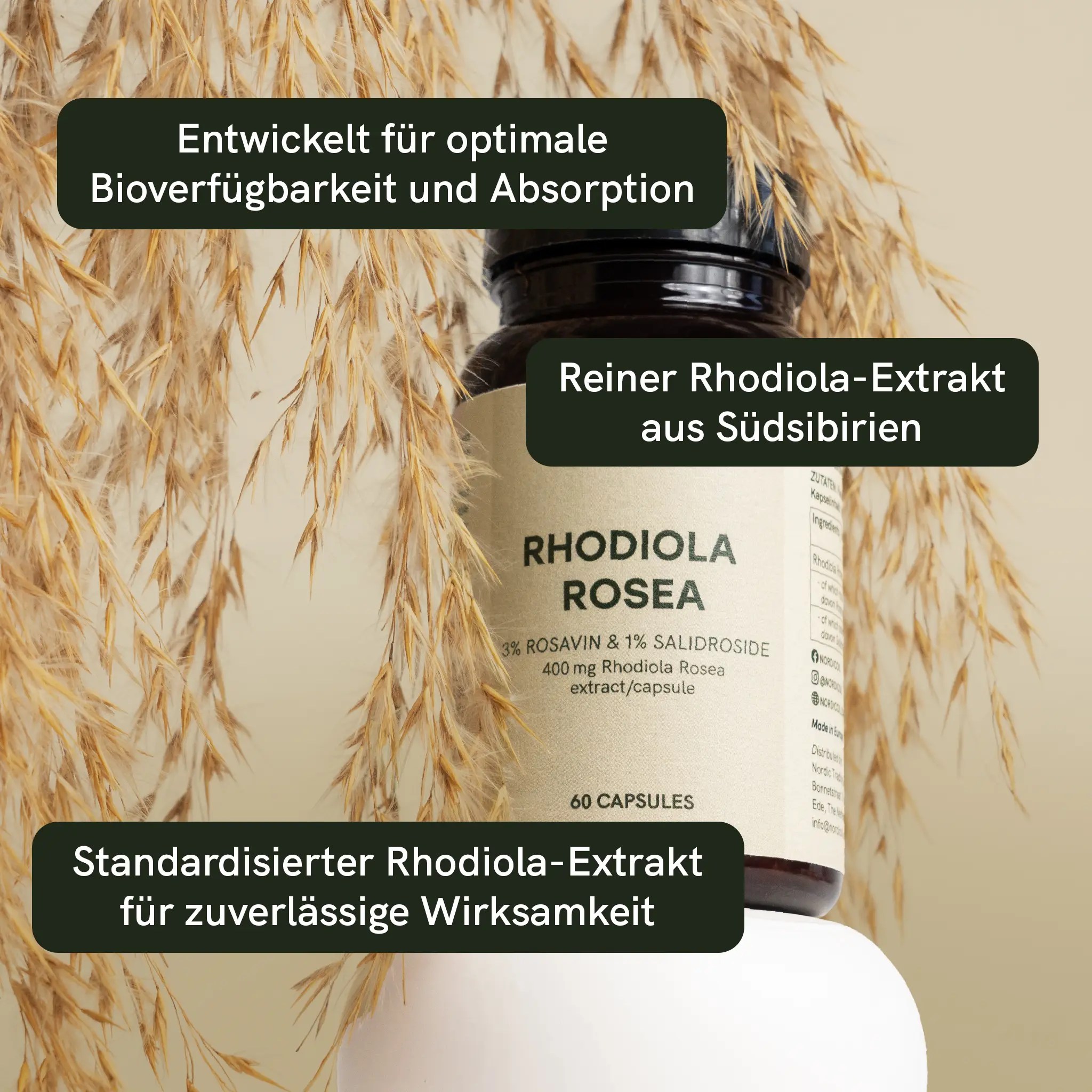 Rhodiola Rosea Extrakt Kapseln – Bild 3