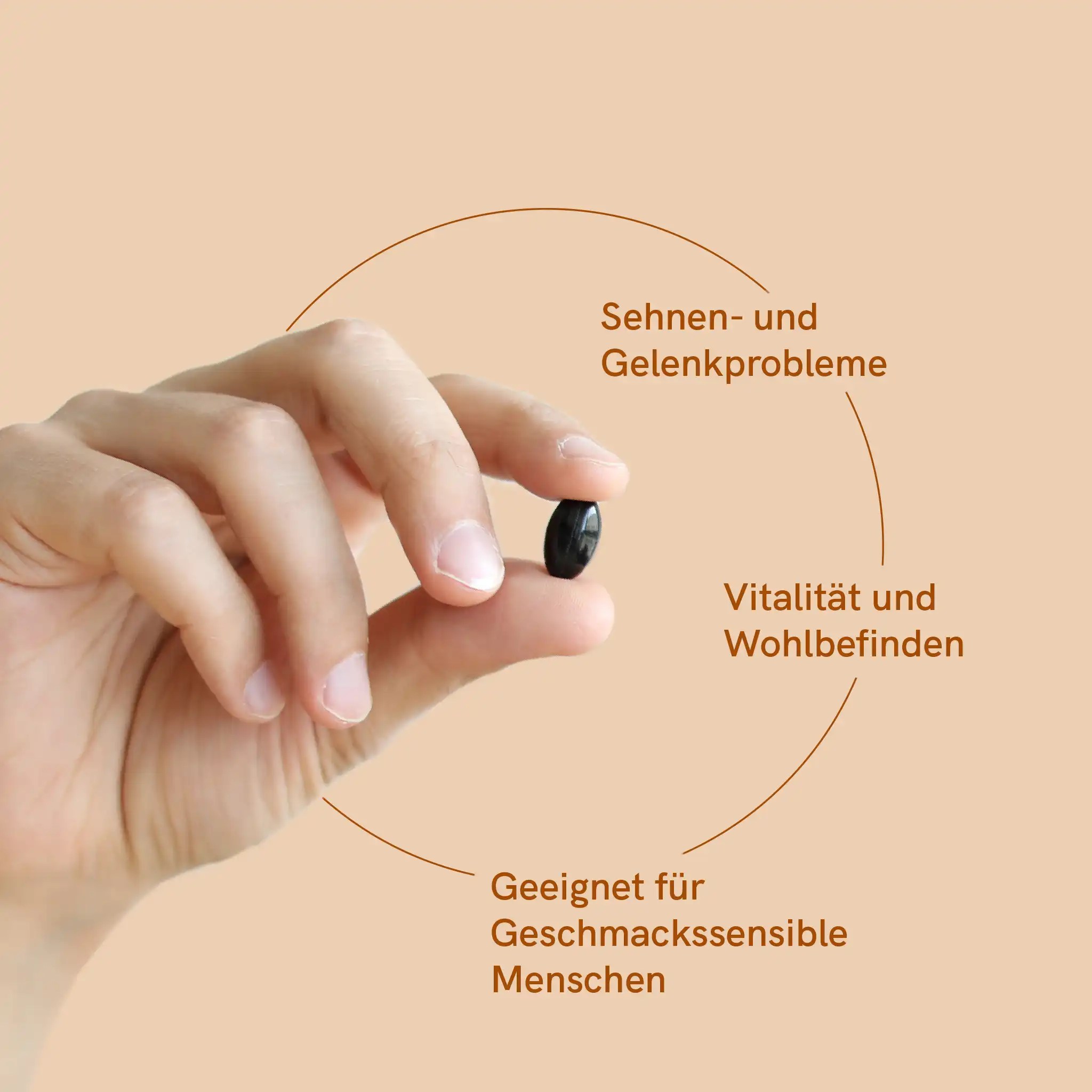 3FÜR2: CBD Kapseln (960mg) mit Curcumin – Bild 3