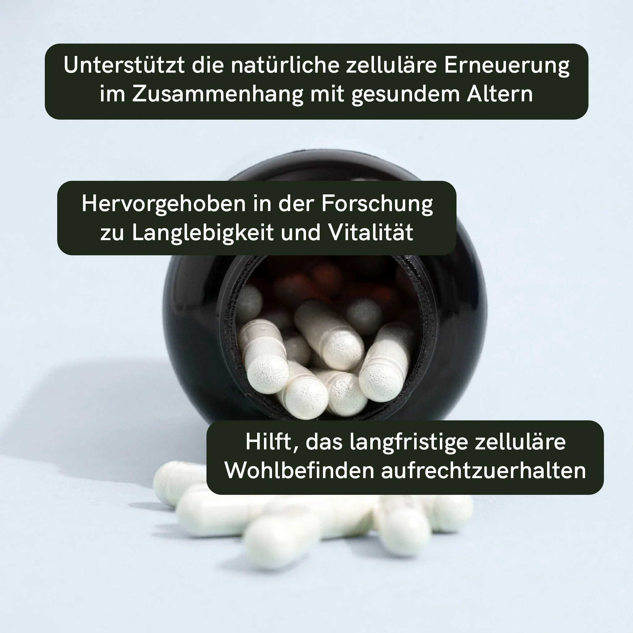 Spermidin Kapseln – Bild 2