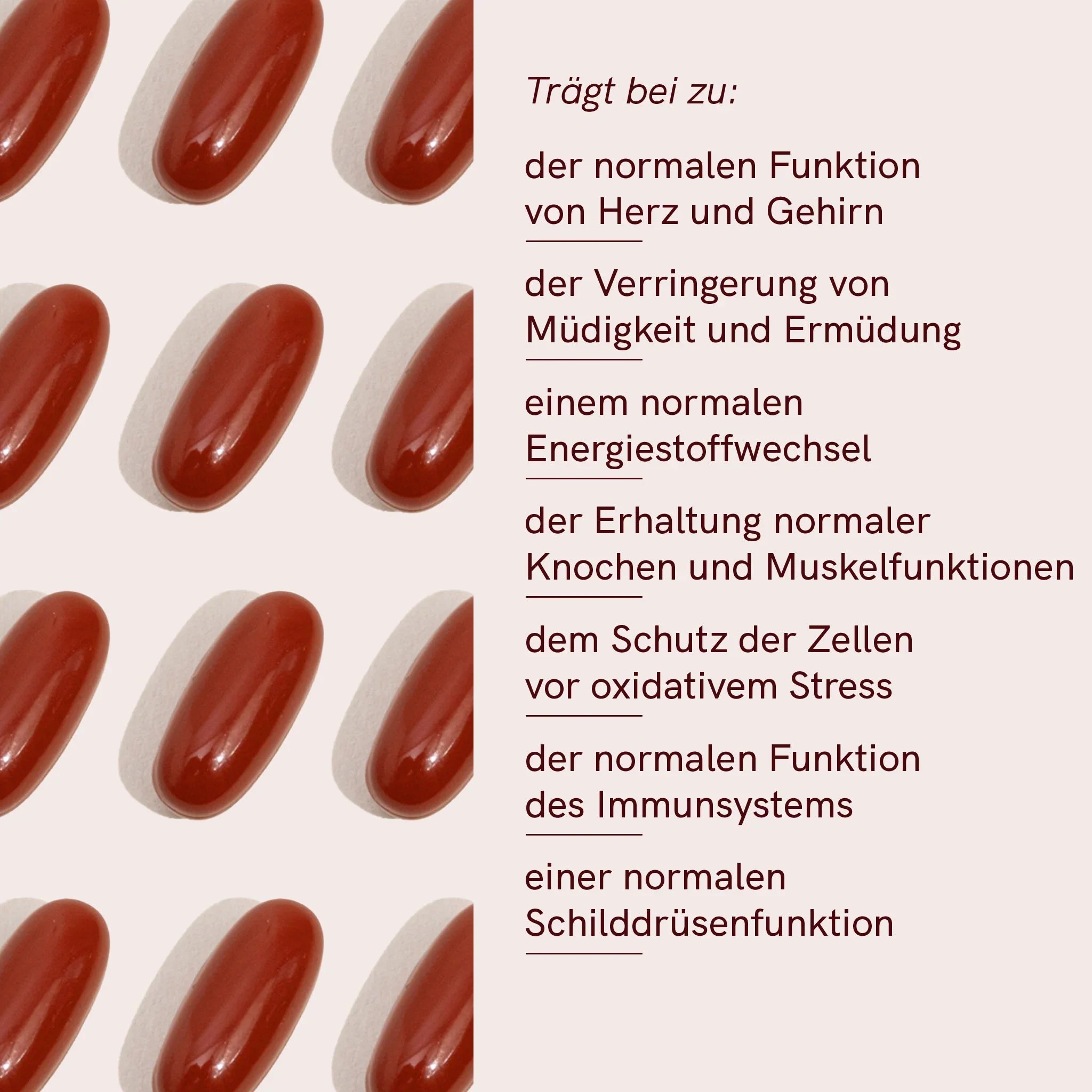 Multi Komplex 50+ – Bild 4