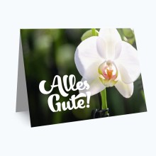 Grußkarte "Alles Gute" Grußkarte "Alles Gute"