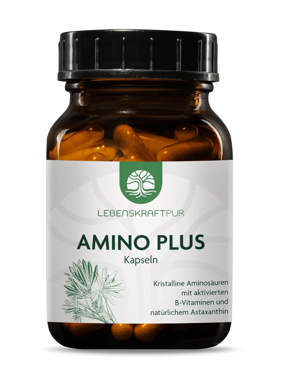 Amino Plus Kapseln Amino Plus Kapseln