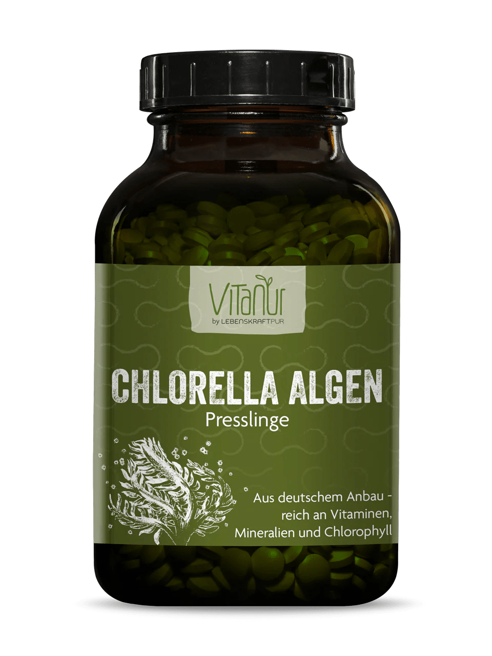 Chlorella Algen Presslinge Chlorella Algen Presslinge