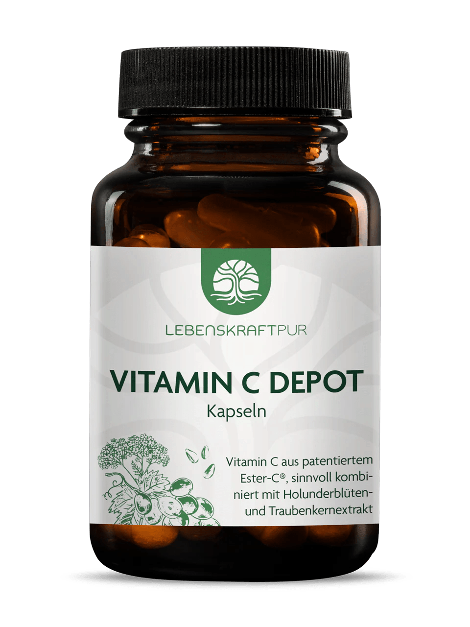 Vitamin C Depot Kapseln Vitamin C Depot Kapseln