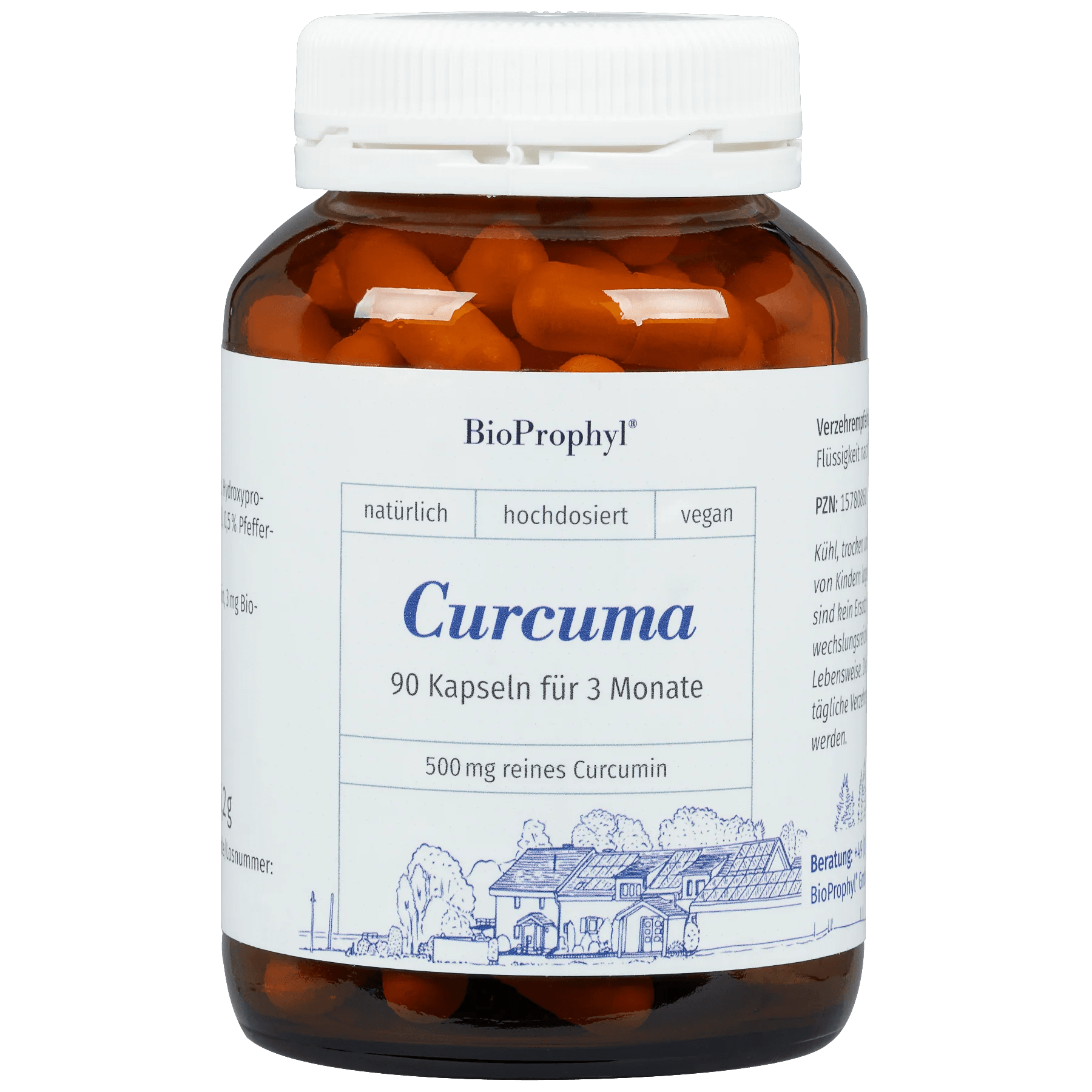 Curcuma Kapseln Curcuma Kapseln