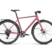 Rose Sneak EQ 1 Rose Sneak EQ 1