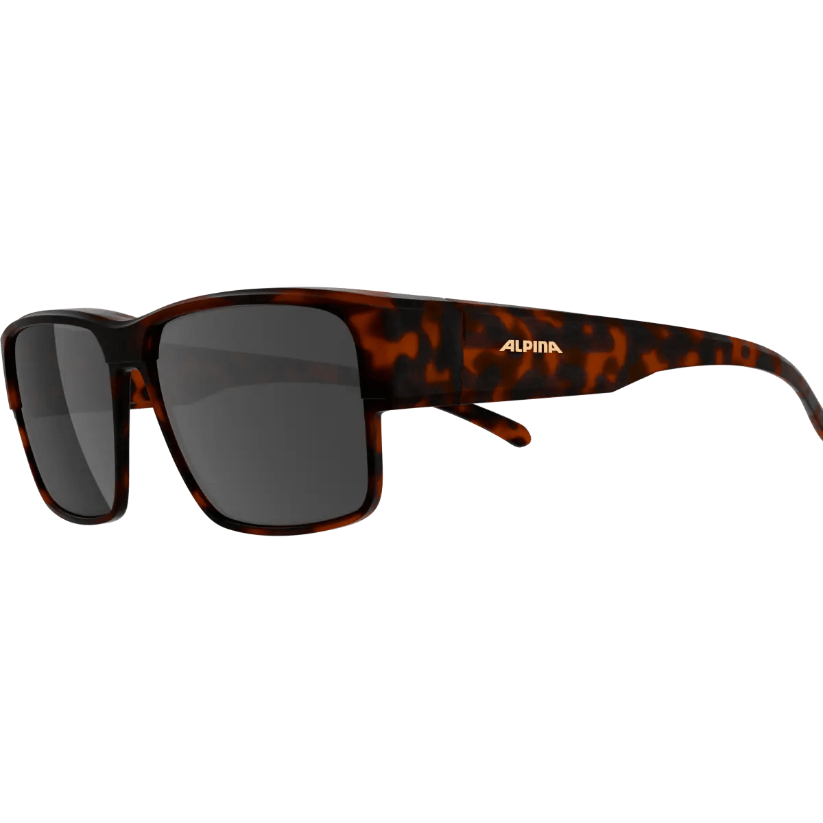ALPINA CONCEAL P Überbrille Sonnenbrille