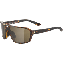 ALPINA SWIFT Sportbrille ALPINA SWIFT Sportbrille