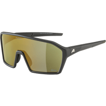 ALPINA RAM Q-LITE Sportbrille ALPINA RAM Q-LITE Sportbrille