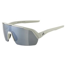 ALPINA TURBO HR Sportbrille ALPINA TURBO HR Sportbrille