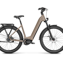 ROSE Mayor Plus 2 LowStep ROSE Mayor Plus 2 LowStep